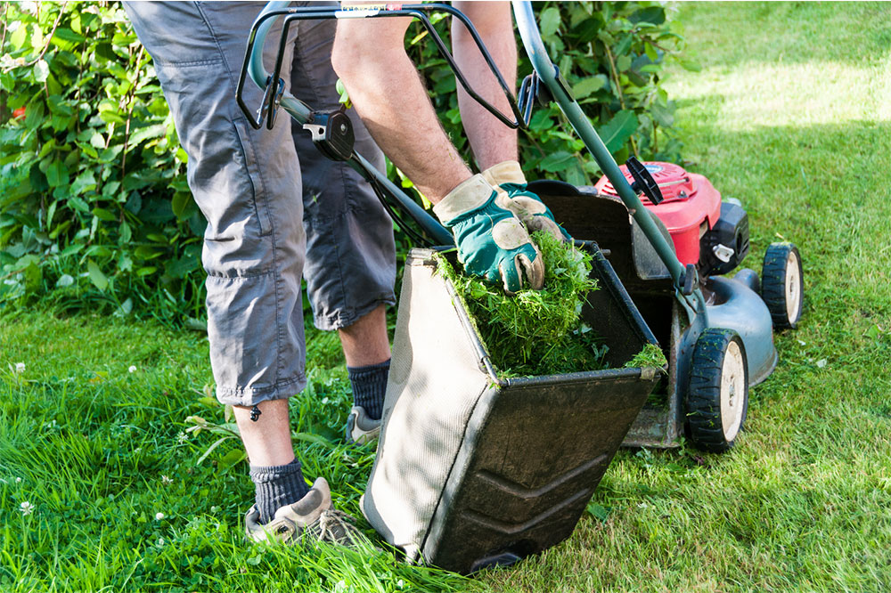 Eco-friendly Tips for Lawn Care