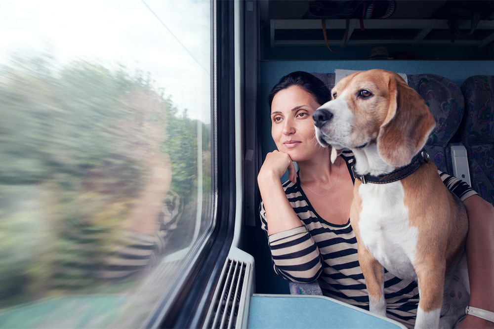 Pet-friendly Travel-Etiquette