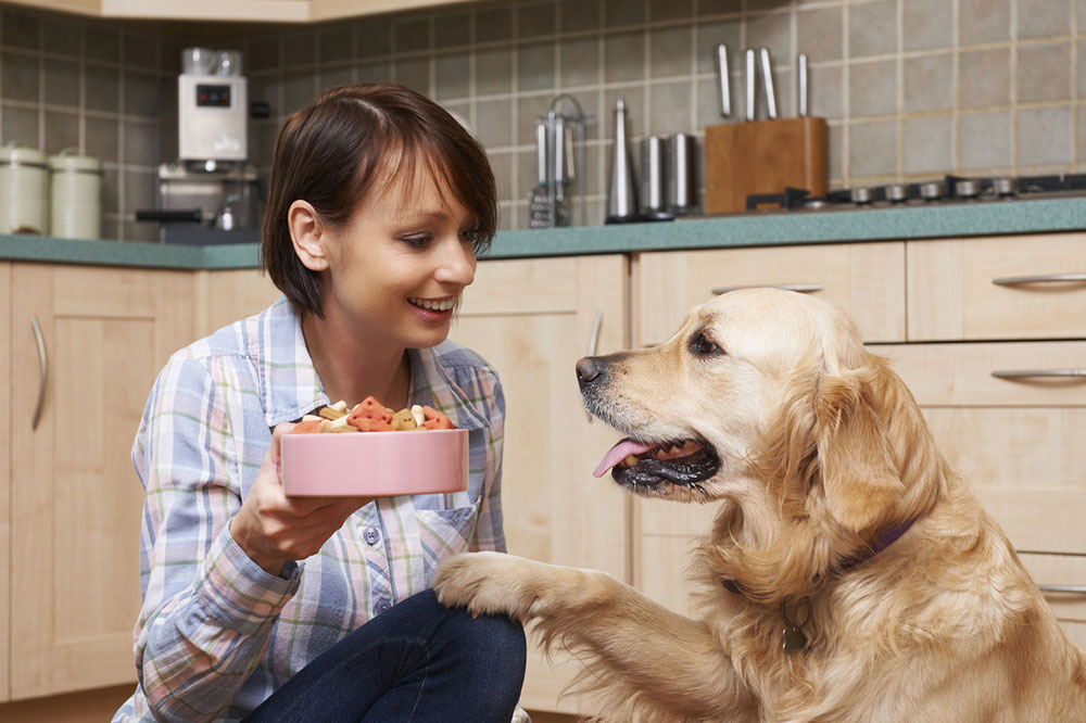 Tips for Making Dog Food at Home